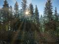 230929_forst