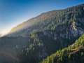230929_forst