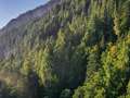 230929_forst
