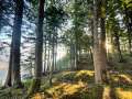 230929_forst_familie